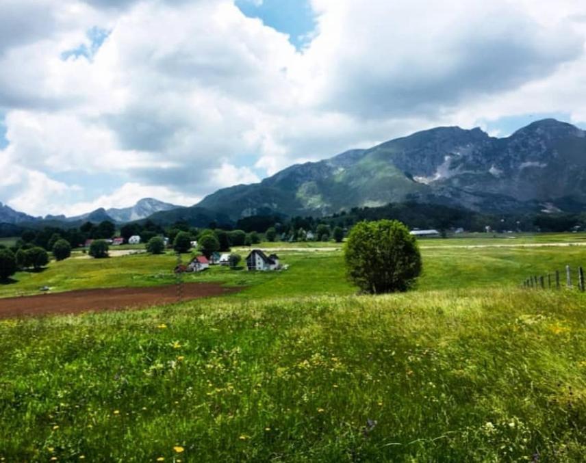 Mountain Peaceful Chalet Žabljak
